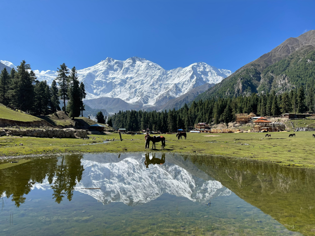Fairy Meadows
